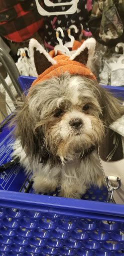 Pet Supply Store «PetSmart», reviews and photos, 1321 W Craig Rd, North Las Vegas, NV 89032, USA