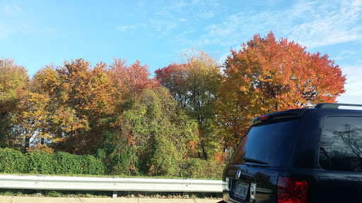 Park «Putty Hill Park», reviews and photos, 8600 Hoerner Ave, Parkville, MD 21234, USA