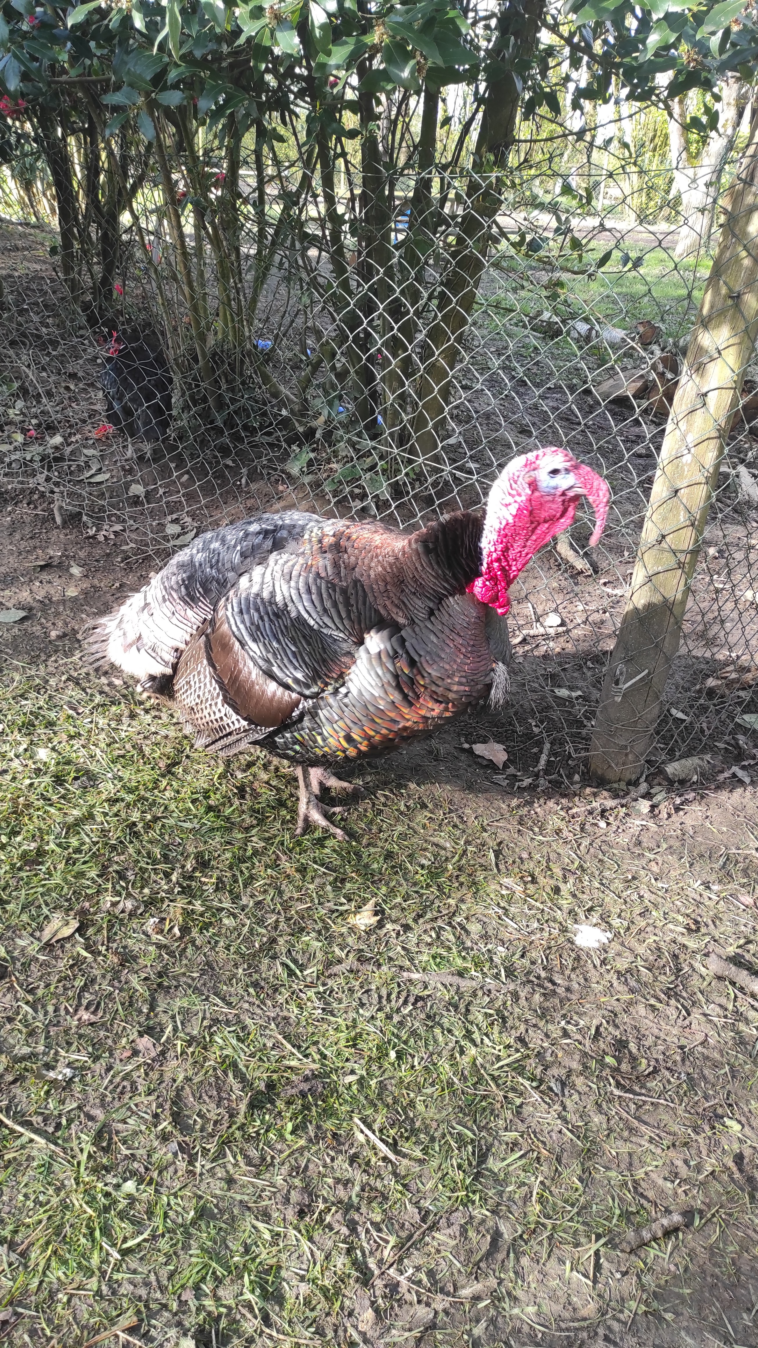 Photo n° 1 de l'avis de Stéphane.u fait le 01/04/2024 à 10:42