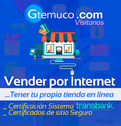 Gtemuco.com