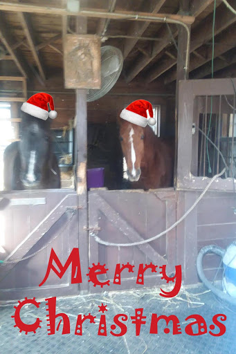 Print Shop «Budget Printing Center», reviews and photos, 426 Cedar Ln, Teaneck, NJ 07666, USA