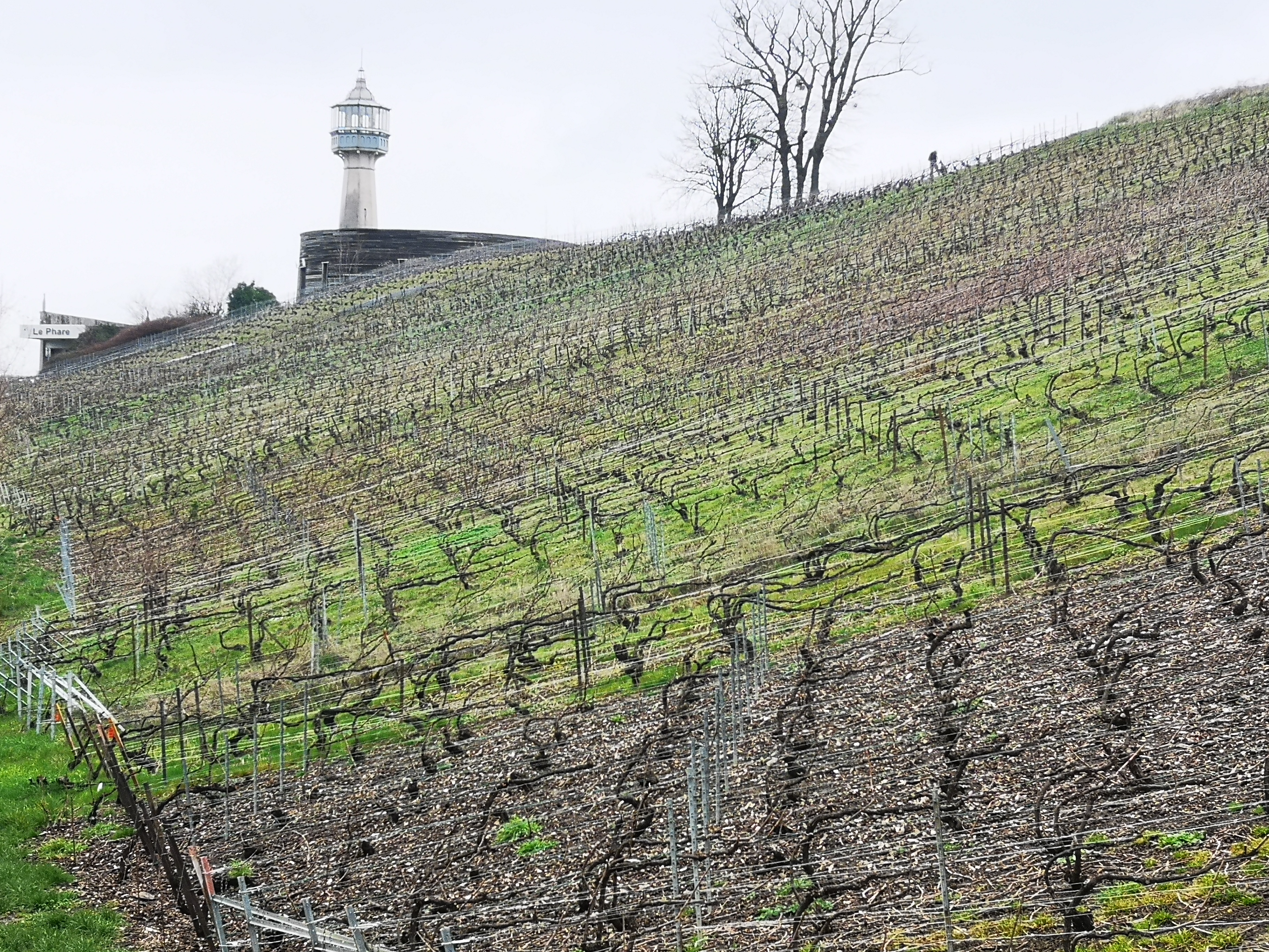 Photo n° 2 de l'avis de Jean-Louis.A fait le 13/03/2024 à 11:28