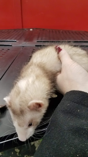 Pet Supply Store «Petco Animal Supplies», reviews and photos, 2621 MacArthur Rd, Whitehall, PA 18052, USA