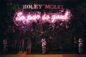 Holey Moley Golf Club Castle Towers image