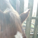 Photo n°6 de l'avis de Arturo.o fait le 24/12/2022 à 21:06 sur le  Il Chioschetto à Caulonia