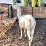 Photo n°1 de l'avis de Mario.a fait le 27/11/2022 à 13:44 sur le  Tenuta Bramasole à Inveruno