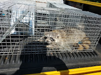 Fowler Pest Solutions - Photo 5 - Car repair in Philadelphia, PA, Philadelphia