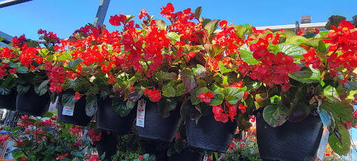 Home Improvement Store «The Home Depot», reviews and photos, 1510 Ring Rd, Elizabethtown, KY 42701, USA