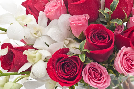 Florist «Cactus Flower Florists», reviews and photos, 10822 N Scottsdale Rd, Scottsdale, AZ 85254, USA