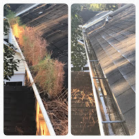 Things about Roof Cleaning