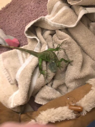 Pet Supply Store «Petco Animal Supplies», reviews and photos, 390 East 525 North, Harrisville, UT 84404, USA