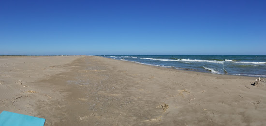 Platja dels Eucaliptus
