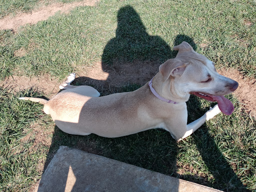 Pet Supply Store «Petco Animal Supplies», reviews and photos, 2121 Harwood Rd, Bedford, TX 76021, USA