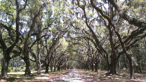 Private Walking Tours of Savannah