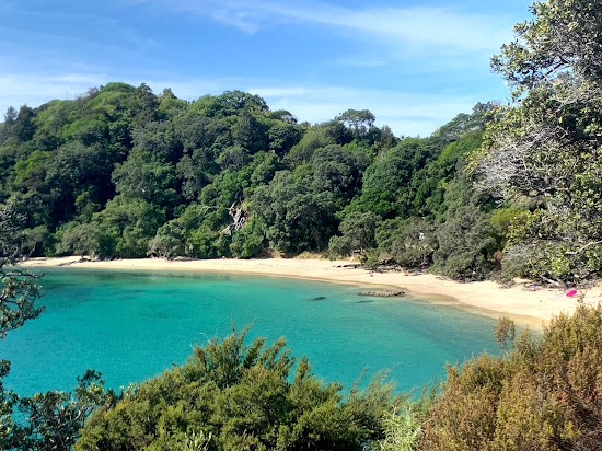 Whale Bay Beach