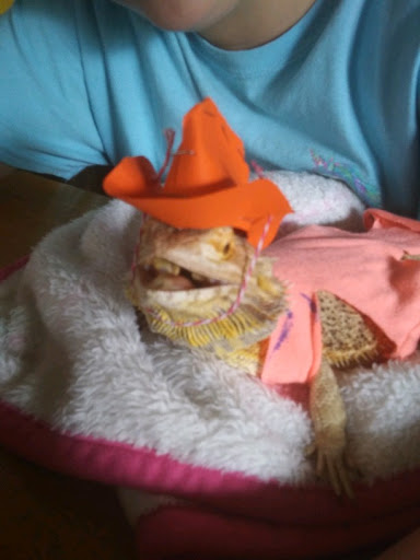 Pet Supply Store «Petco Animal Supplies», reviews and photos, 3835 Phoenix Ave, Fort Smith, AR 72903, USA