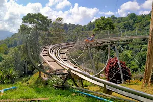 Pong Yaeng Jungle Coaster & Zipline image