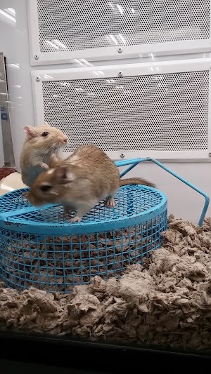 Petco - photo 7
