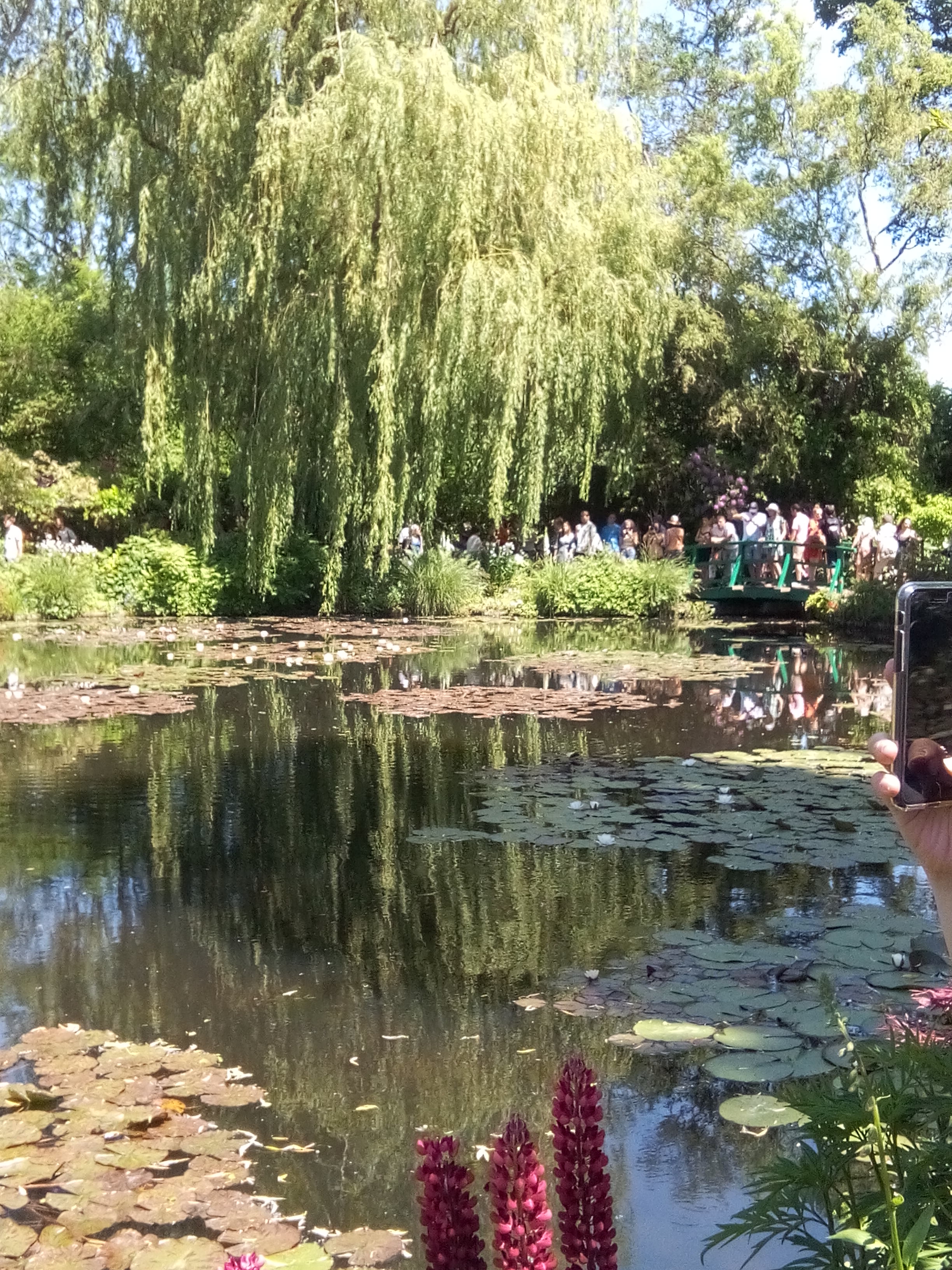 Photo n° 3 de l'avis de M. fait le 02/06/2019 à 08:14