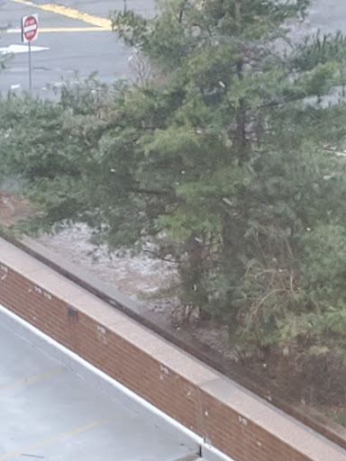 Park «Constitution Park», reviews and photos, Fletcher Ave & Lewis St, Fort Lee, NJ 07024, USA