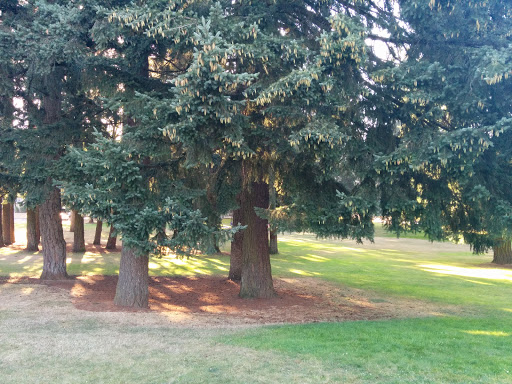 Park «Rivercrest Park», reviews and photos, 131 Park Dr, Oregon City, OR 97045, USA