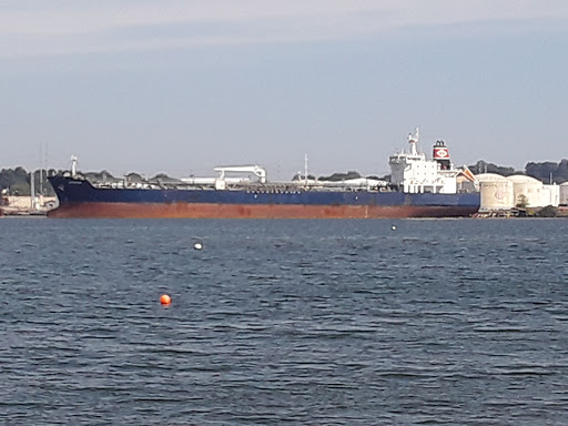 Auto Parts Store «NAPA Auto Parts - Genuine Parts Company», reviews and photos, 1260 Newfield St, Middletown, CT 06457, USA