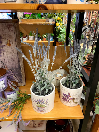 Garden Center «Stauffers of Kissel Hill Home & Garden Store», reviews and photos, 4450 Lincoln Hwy, York, PA 17406, USA