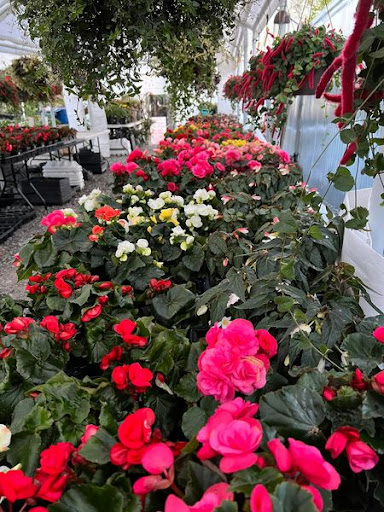 Florist «TG Designs», reviews and photos, 19231 Longmeadow Rd, Hagerstown, MD 21742, USA