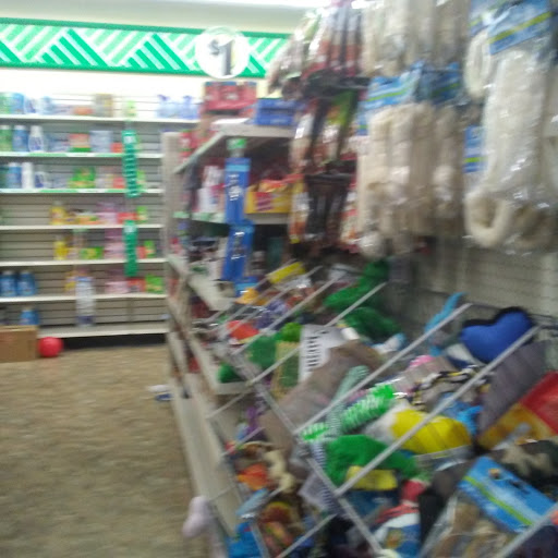 Dollar Store «Dollar Tree», reviews and photos, 1537 Bethlehem Pike, Hatfield, PA 19440, USA