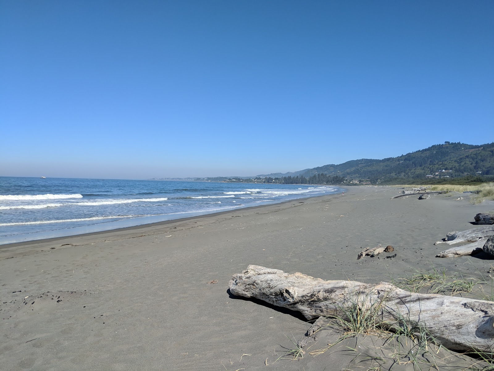 Photo of Pelican Beach with partly clean level of cleanliness