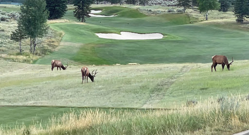 Golf Club «Glenwild Golf Club», reviews and photos, 7600 Glenwild Dr, Park City, UT 84098, USA