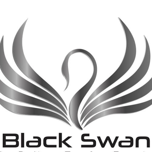 Comments and reviews of Black Swan Taxi