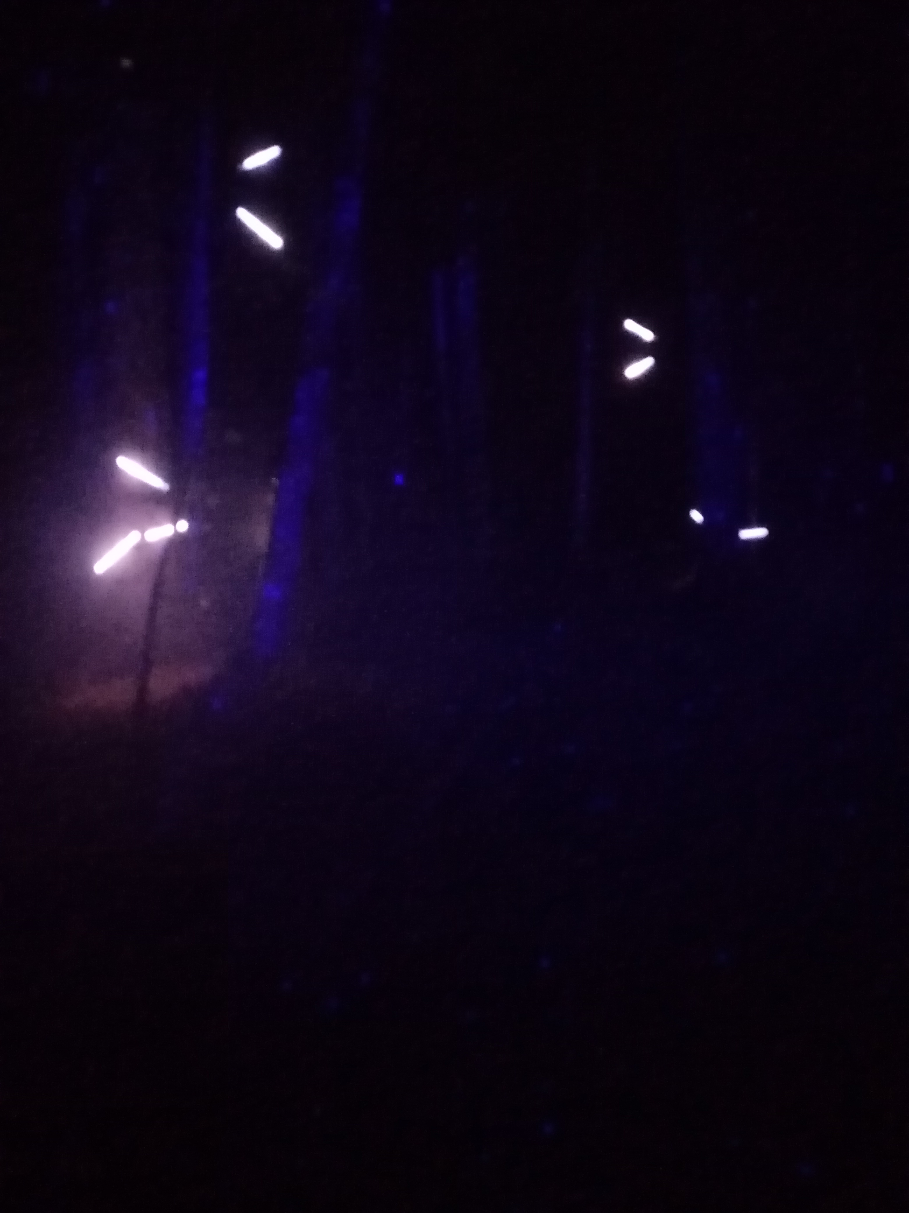 Photo n° 8 de l'avis de Victor.a fait le 17/08/2021 à 21:24