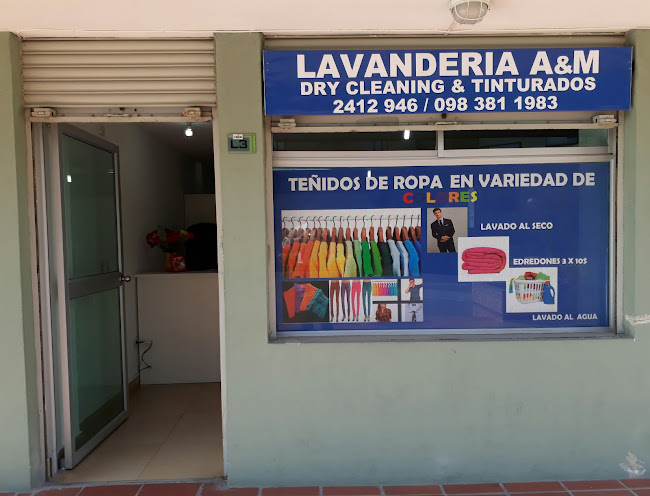 Opiniones de Lavanderia Y Tintoreria A&M Lavaggio en Quito - Lavandería