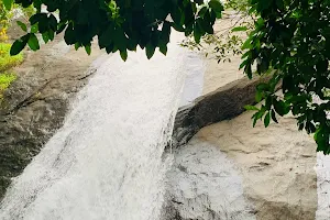 Odakkayam Waterfalls image