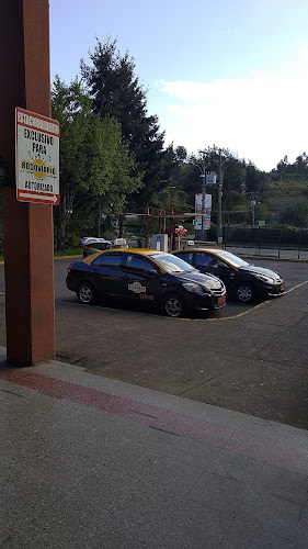 Opiniones de Taxis Rodoviario en Temuco - Servicio de taxis