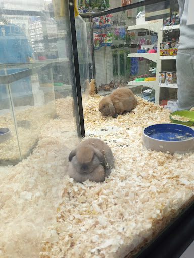 Pet Store «Inland Reef Pet Store», reviews and photos, 817 Cross Lanes Dr, Cross Lanes, WV 25313, USA