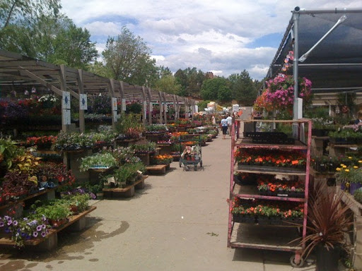 Hardware Store «Big Tool Box», reviews and photos, 8080 S Holly St, Centennial, CO 80122, USA