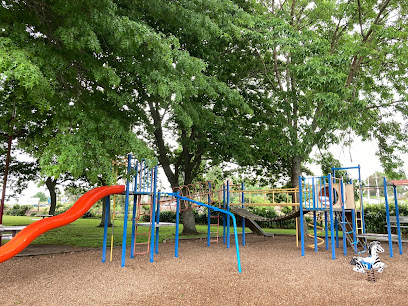 Te Kauwhata Village Green Playground