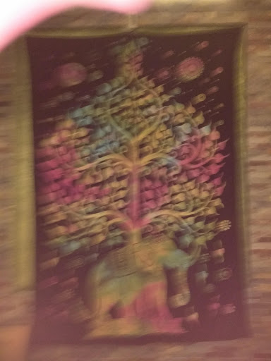 Christian Book Store «Trinity Gifts & Books Inc», reviews and photos, 4623 National Rd E, Richmond, IN 47374, USA