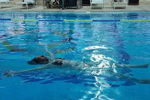 Under Water with Taryn - טרין בק שיעורי שחייה, טיפול רגשי במים, הדרותרפיה image