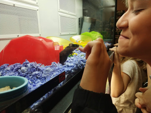 Pet Supply Store «Petco Animal Supplies», reviews and photos, 30697 US Hwy 19 N, Palm Harbor, FL 34684, USA