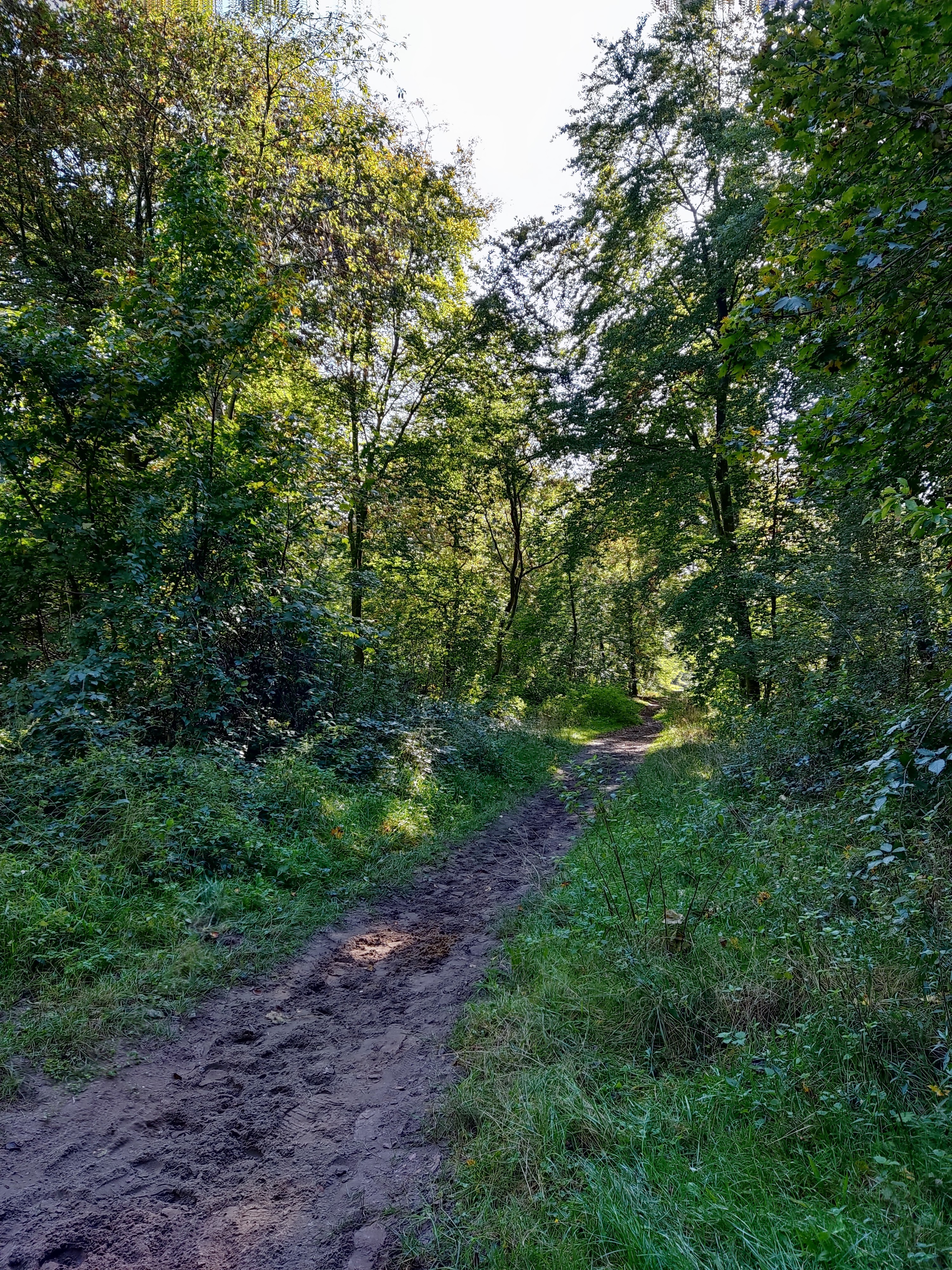 Photo n° 24 de l'avis de Mikkonen.e fait le 19/10/2021 à 08:24