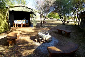 Thorn Tree Bush Camp image