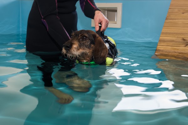 Imagen de Hospital Veterinario 4 de Octubre (3 de 6)