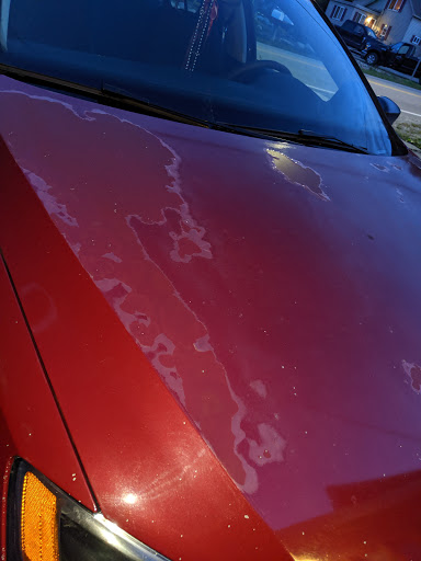 Auto Body Shop «Maaco Collision Repair & Auto Painting», reviews and photos, 32754 W 8 Mile Rd, Farmington, MI 48336, USA