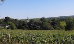 Les Vins Domaine du Closel - Château des Vaults Savennières