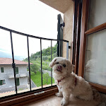 Photo n°9 de l'avis de Hester.a fait le 20/05/2023 à 21:14 sur le  Antica Trattoria Da Bepi à Marano di Valpolicella