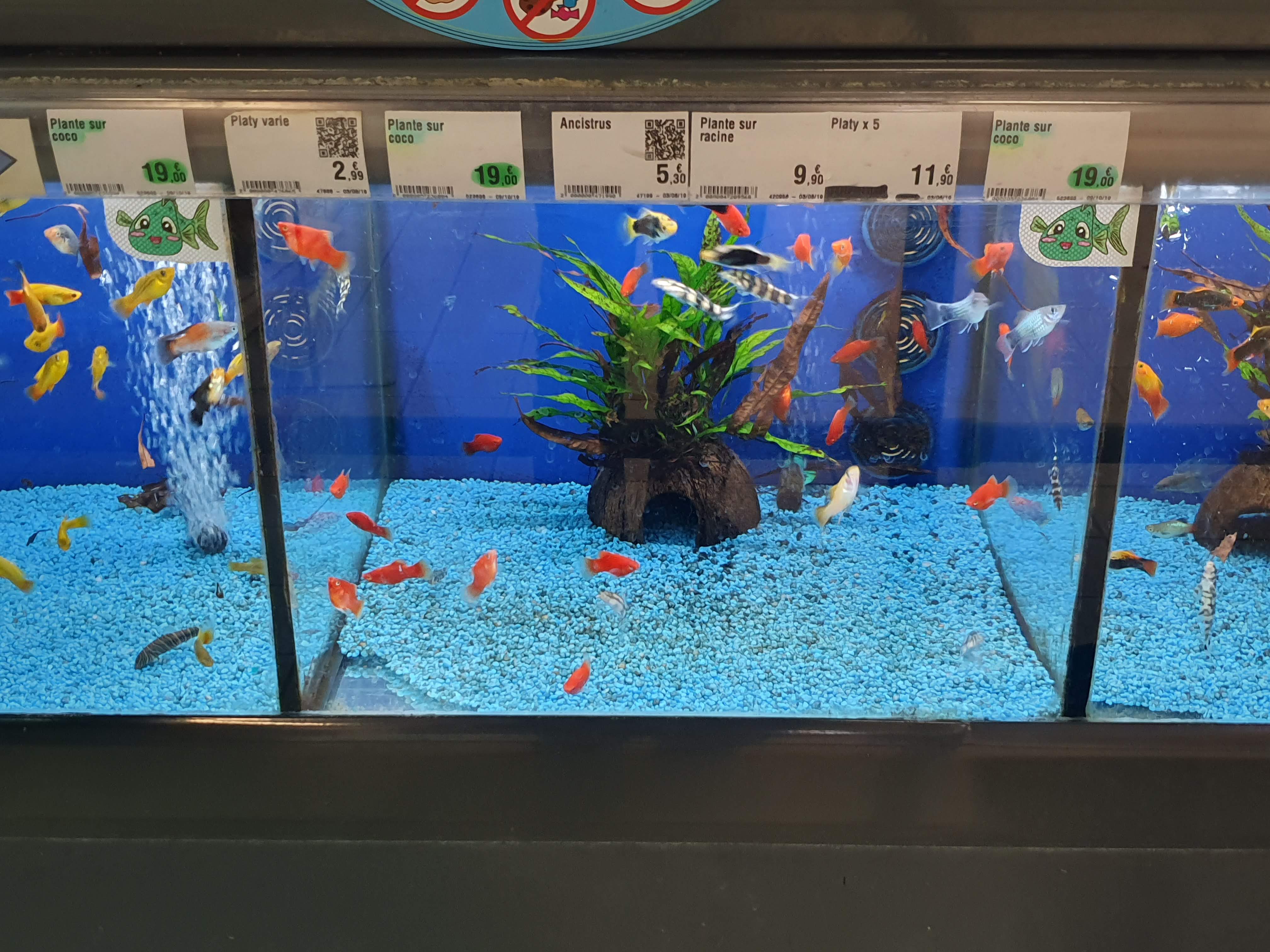 Photo n° 22 de l'avis de olivier.e fait le 20/01/2020 à 11:28