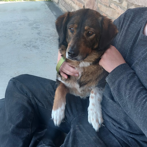 Timber Creek Veterinary Hospital (Equine)